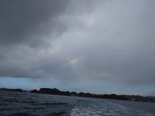 アカハタの釣果