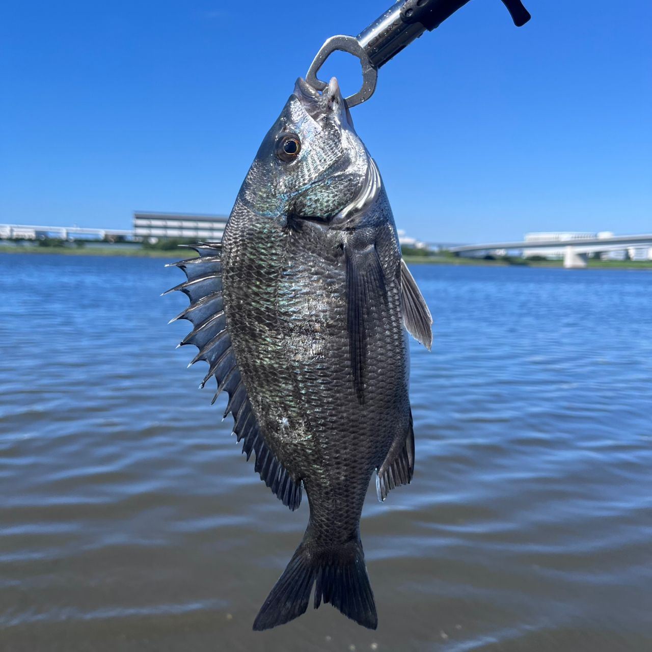 SHIMANO 19エンカウンター S100MLの最安値・インプレ・釣果