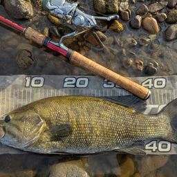 スモールマウスバス