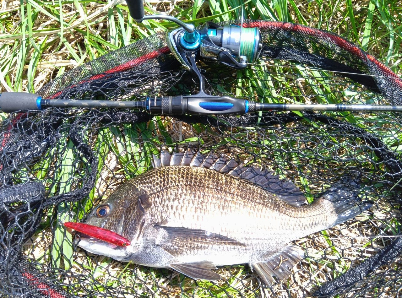 AbuGarcia ソルティースタイルメバル STMS-762ULT-KRの最安値