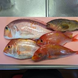 アマダイ