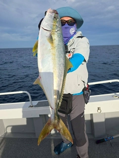 ヒラマサの釣果