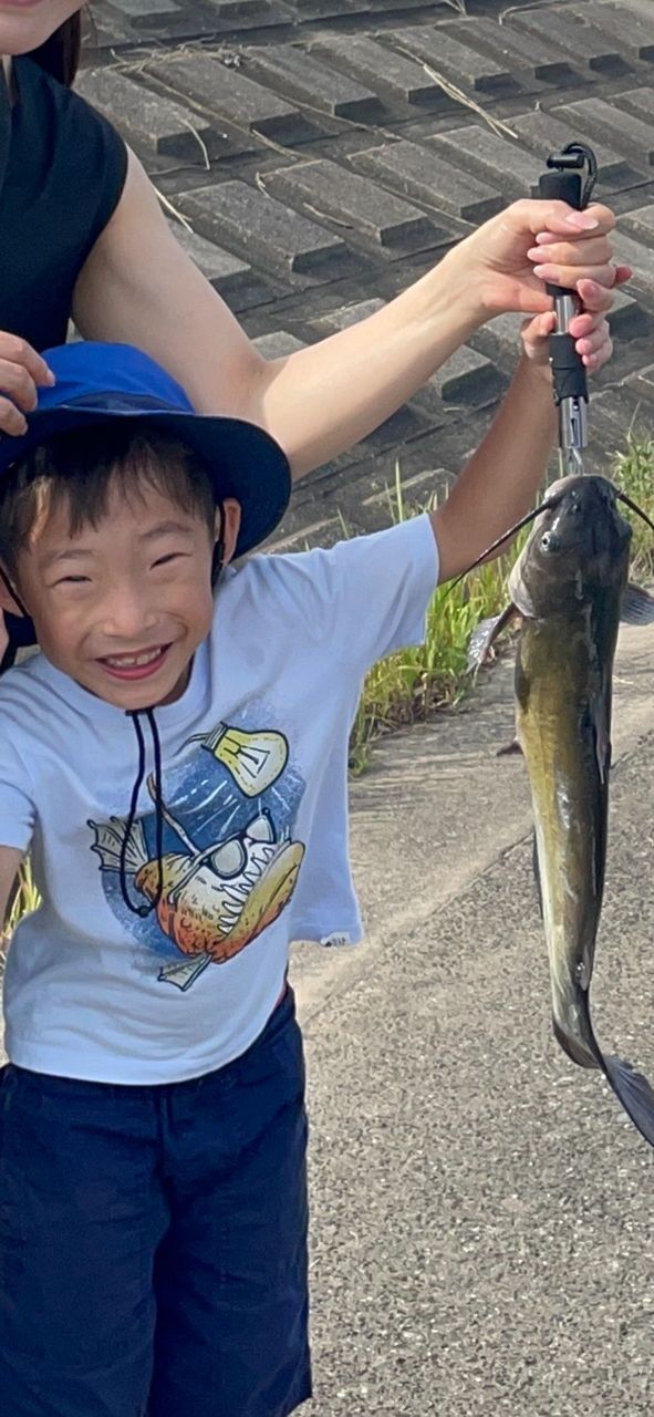 アメリカナマズ