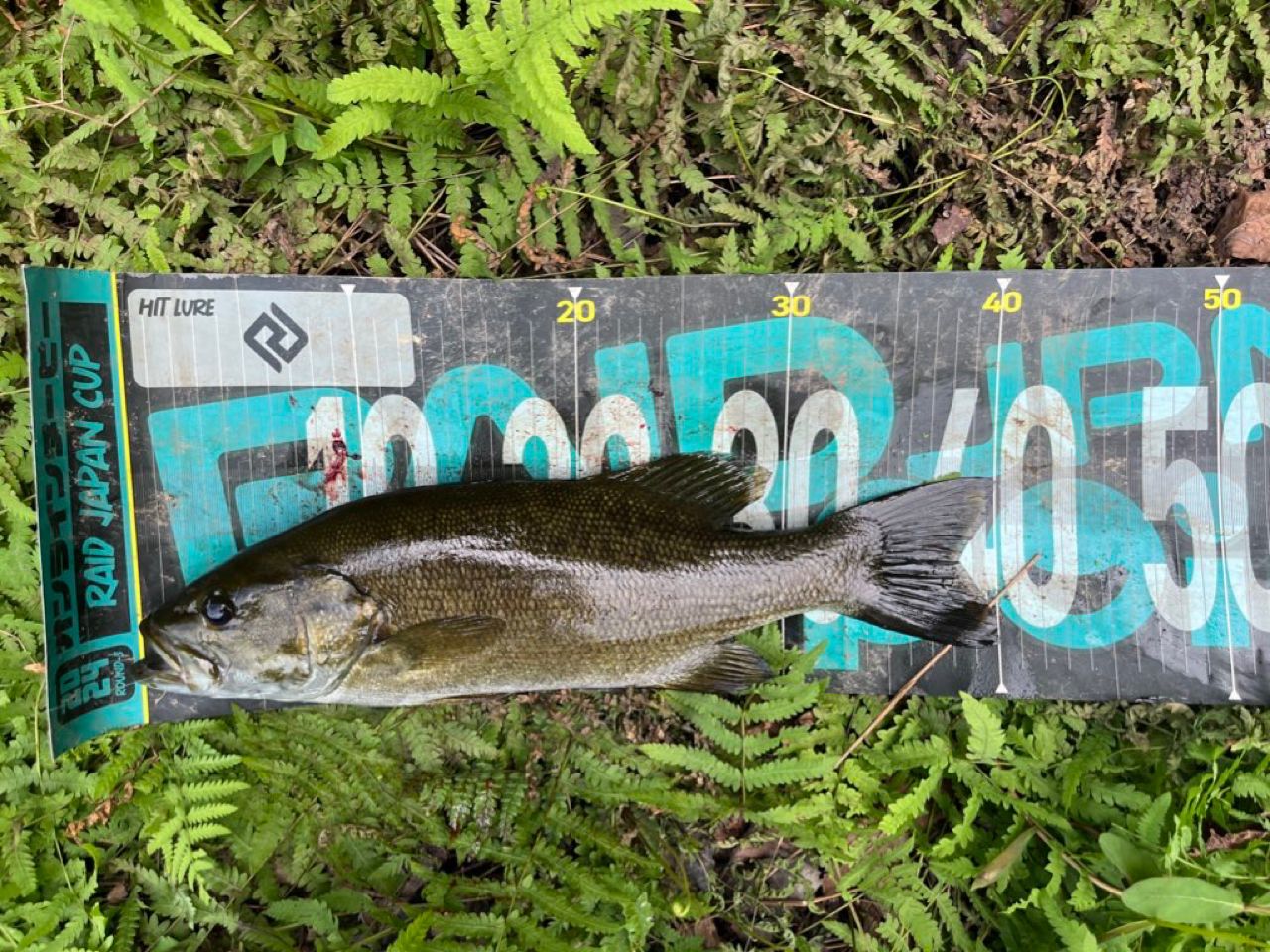 スモールマウスバス