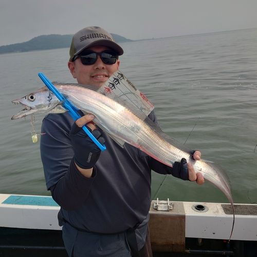 タチウオの釣果