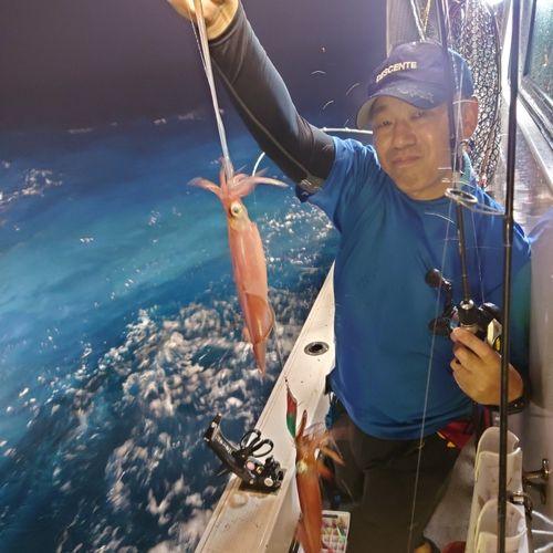 ヤリイカの釣果