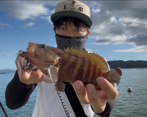 ヤミハタの釣果