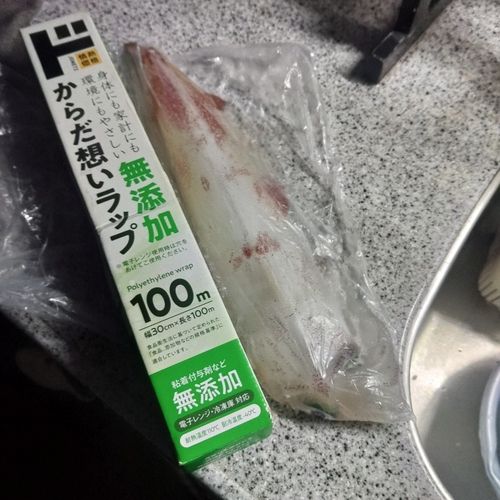 ヤリイカの釣果