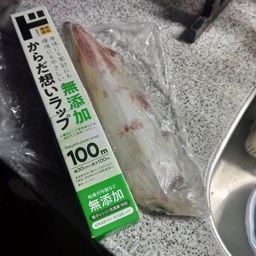 ヤリイカ