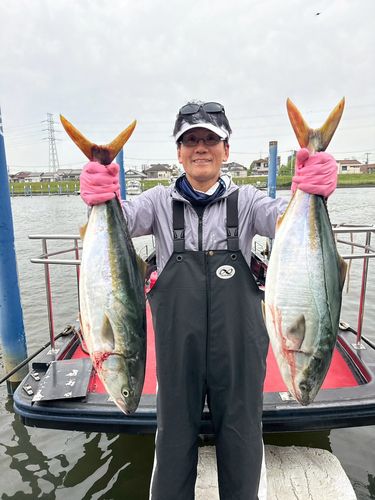 ヒラマサの釣果