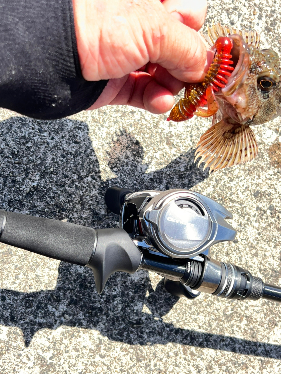 AbuGarcia ソルティーステージ プロトタイプ ベイトフィネスの最