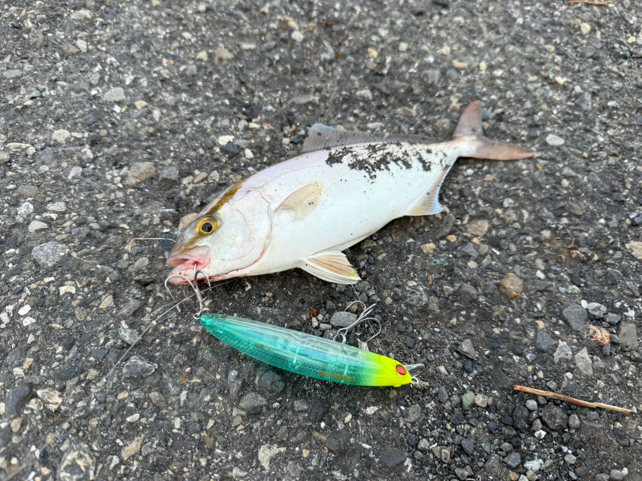 DAIWA 21モアザン ブランジーノ EX AGS 97ML/Mの最安値