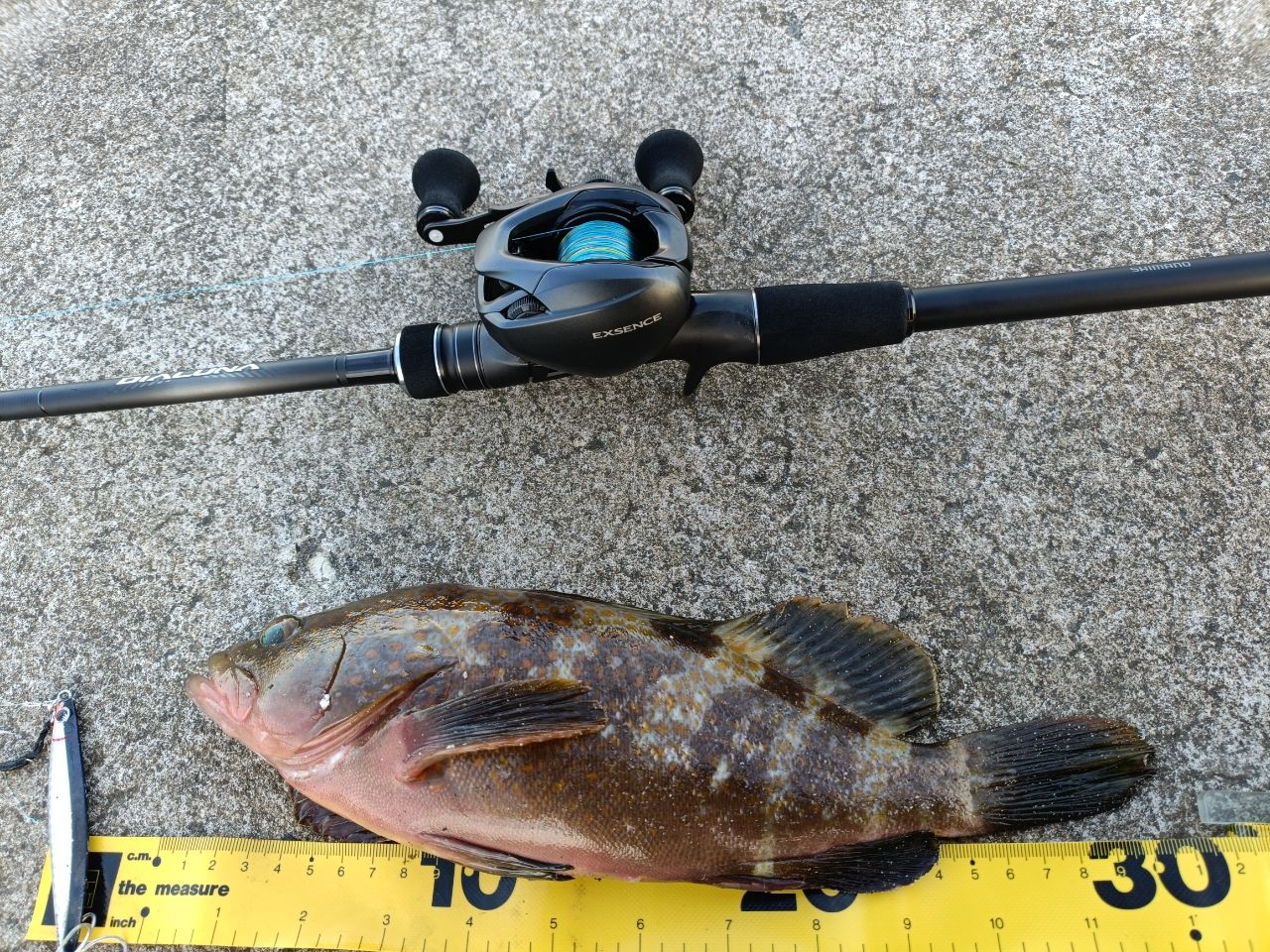 SHIMANO 23ディアルーナ B96MLの最安値・インプレ・釣果 | 本音