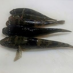 ハゼ