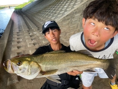 シーバスの釣果