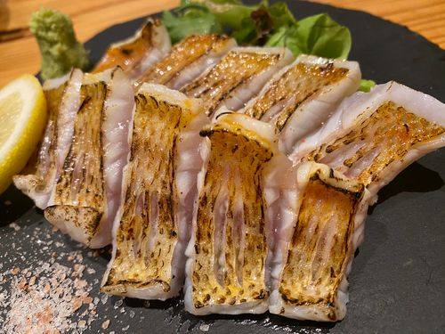 アカムツの釣果