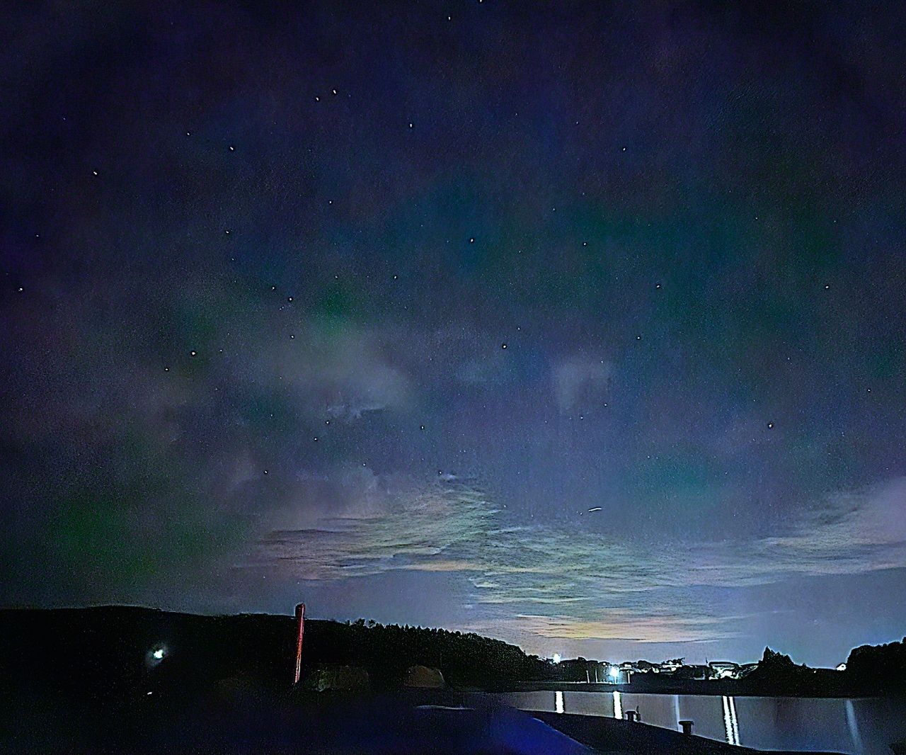 メバル