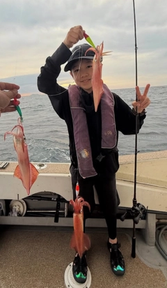 イカの釣果