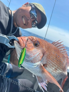 タイの釣果