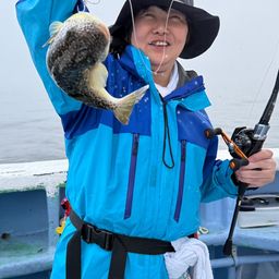 ショウサイフグ