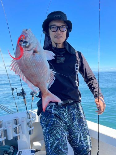 マダイの釣果