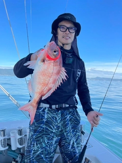 マダイの釣果