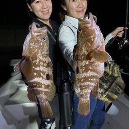 アコウ