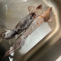 メジカ