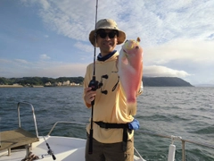 イラの釣果