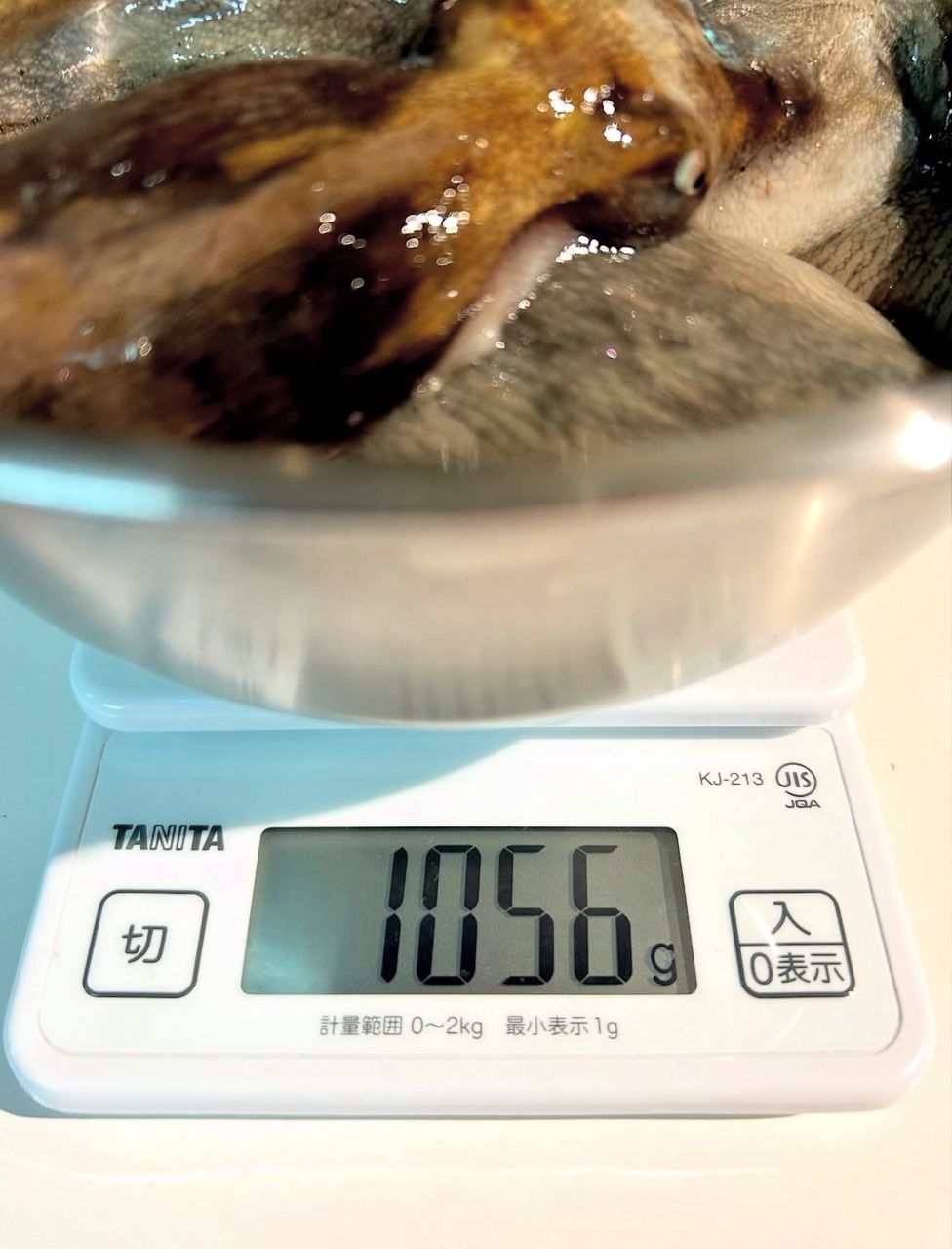 タコ