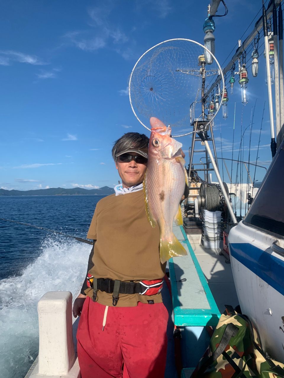 クロホシフエダイ