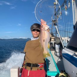 クロホシフエダイ