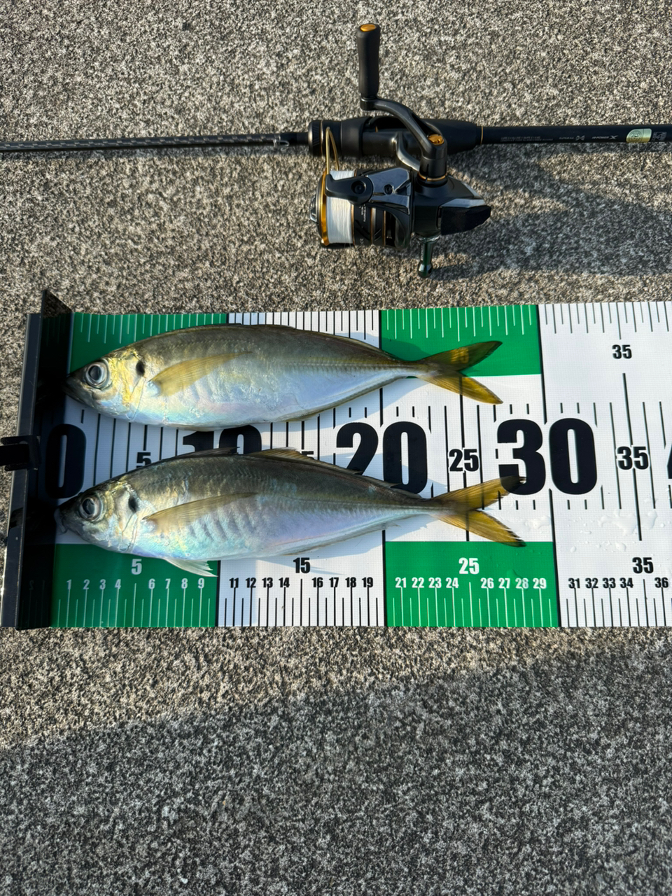 SHIMANO 21ソアレXR S68UL-Sの最安値・インプレ・釣果 | 本音の