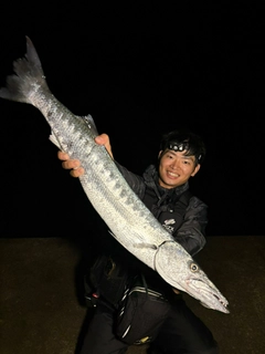オニカマスの釣果