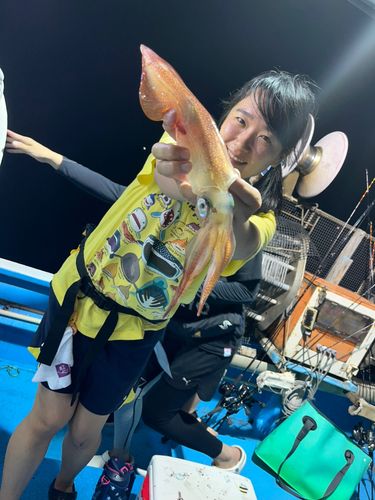 スルメイカの釣果