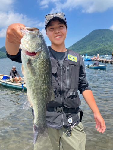 ラージマウスバスの釣果