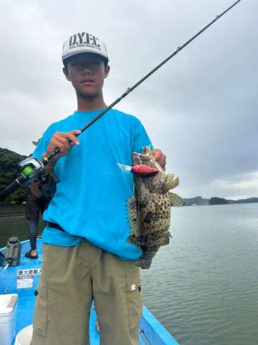 チャイロマルハタの釣果