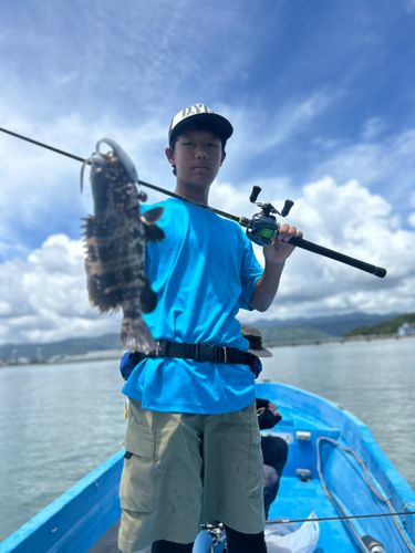 ヤイトハタの釣果