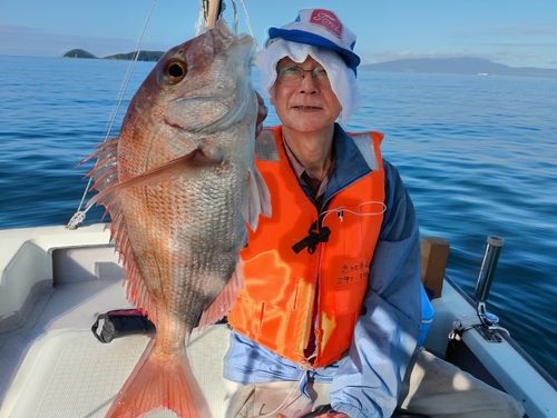 マダイの釣果
