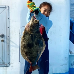 ヒラメの釣果