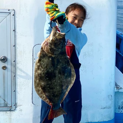 ヒラメの釣果