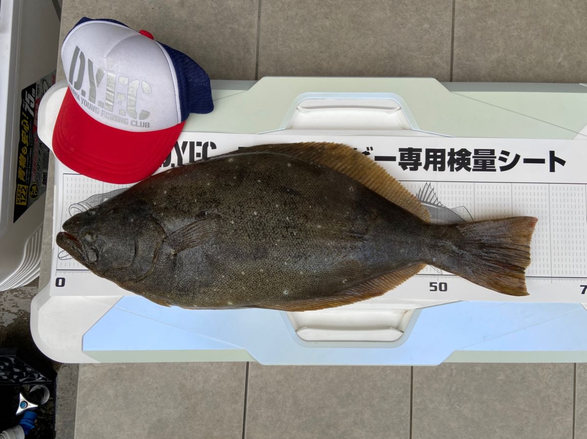 さそうのぞみさんの釣果 2枚目の画像