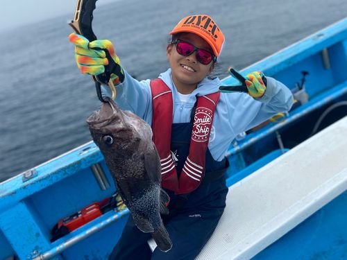 マゾイの釣果