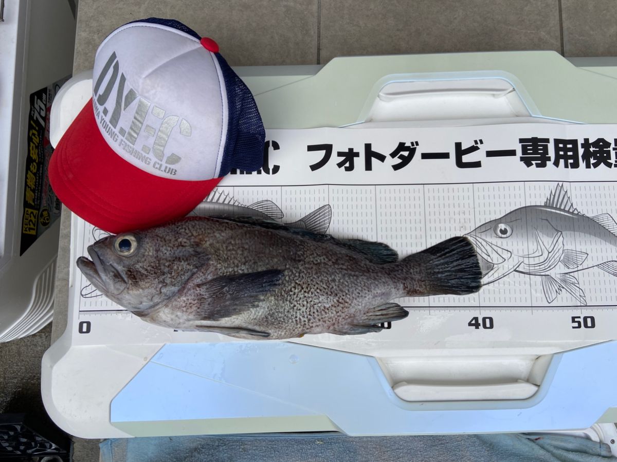 さそうのぞみさんの釣果 2枚目の画像