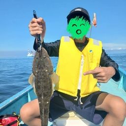 マゴチ