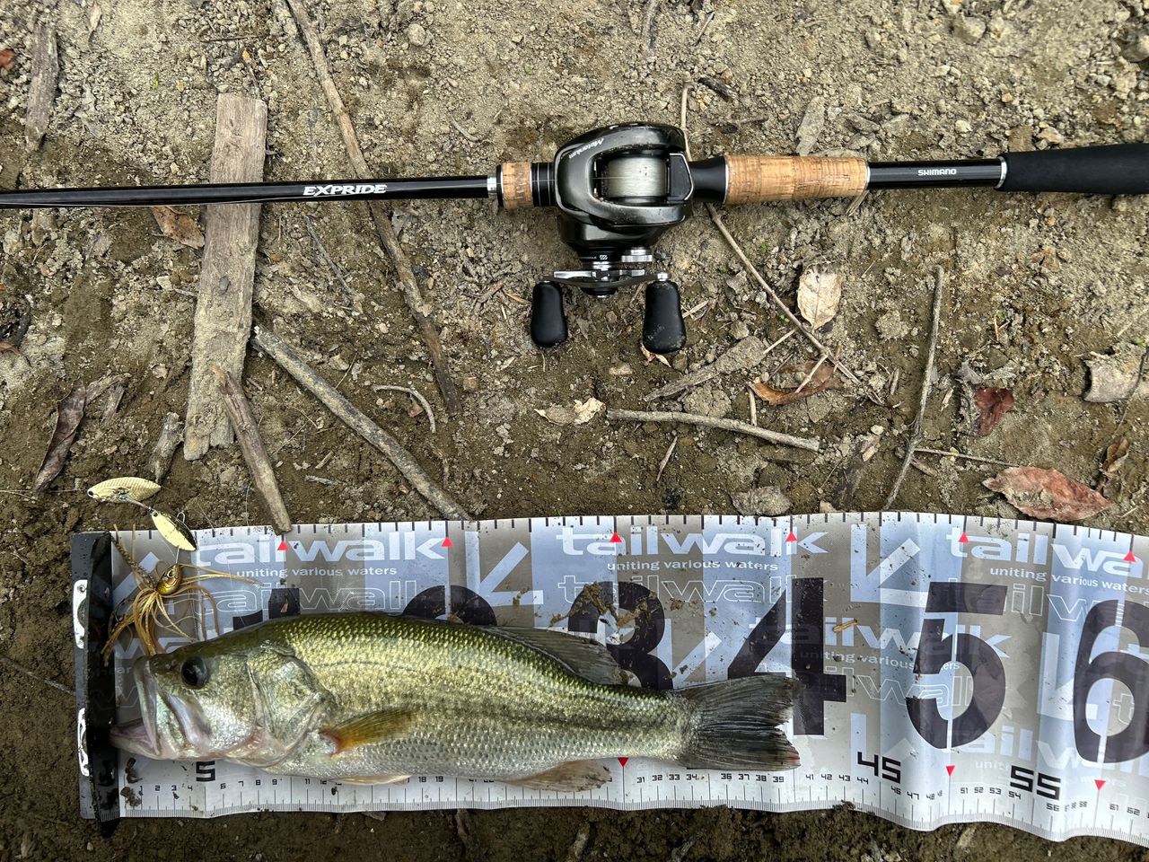 SHIMANO エクスプライド166M-2 シマノ 【目玉商品】シマノ エクスプライド 166M-2 (2023年追加