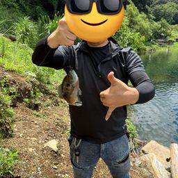 ブルーギル