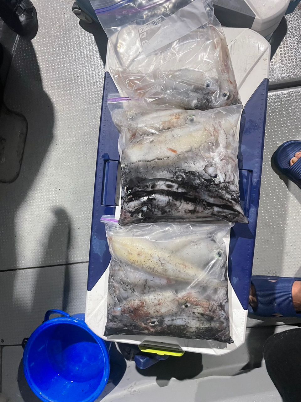 田畑良朗@なつき丸さんの釣果 2枚目の画像