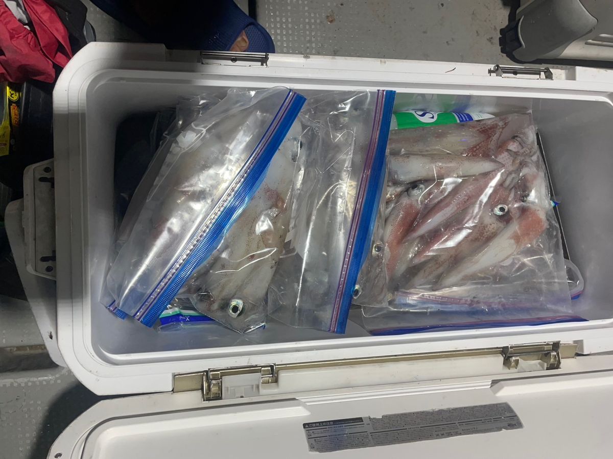 田畑良朗@なつき丸さんの釣果 3枚目の画像