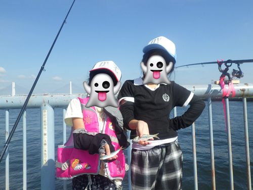 サッパの釣果